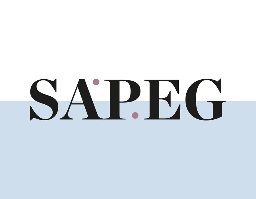 SAPEG – IV edizione