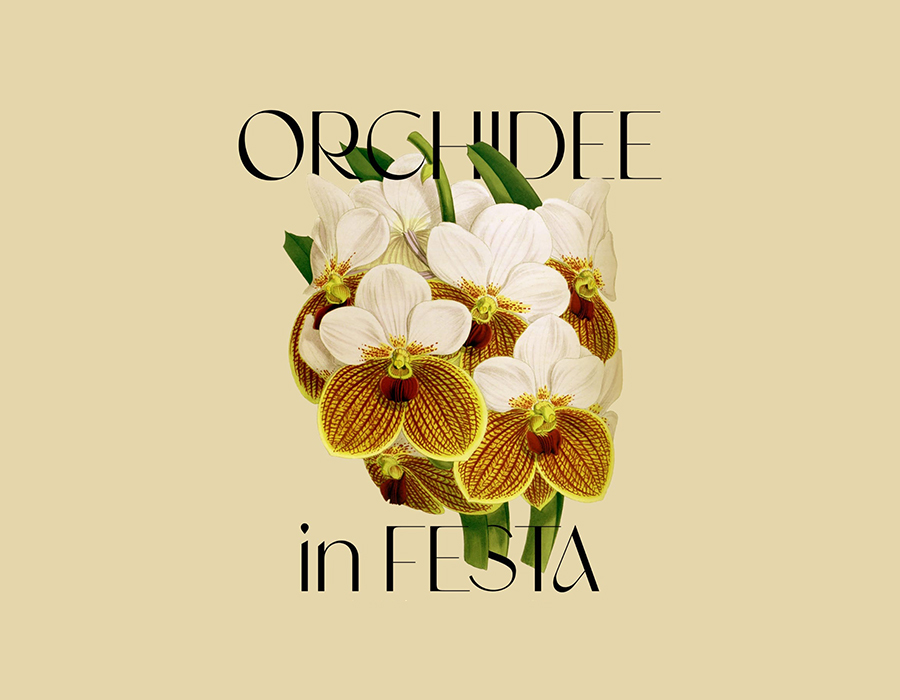 Orchidee in Festa – III edizione
