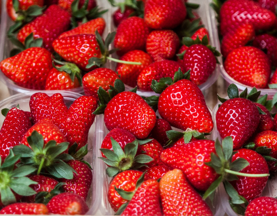 Festival della Fragola – XL edizione