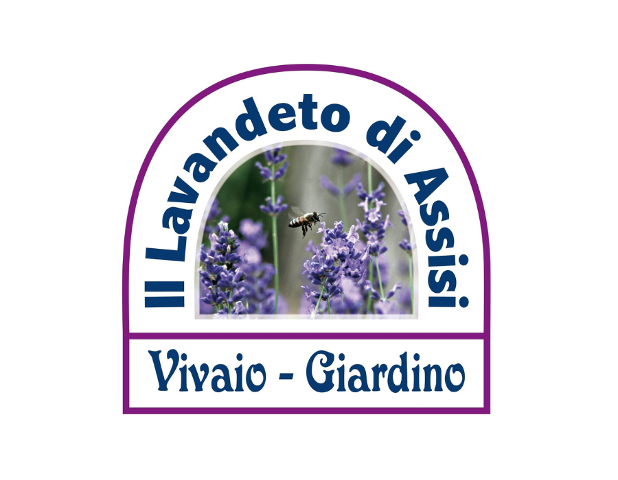 Festa della Lavanda – XV edizione