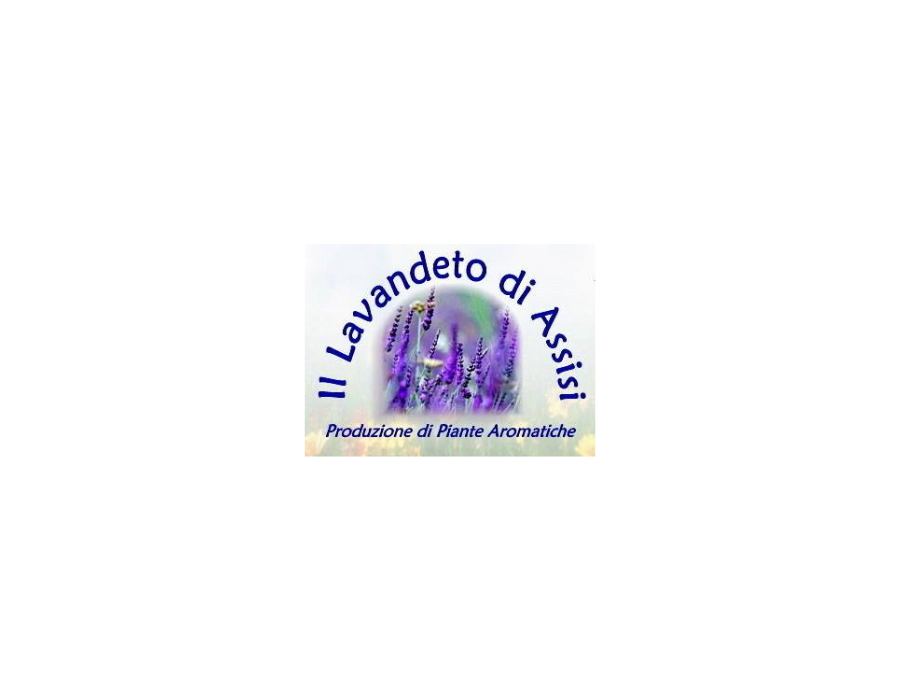 La Festa della Lavanda