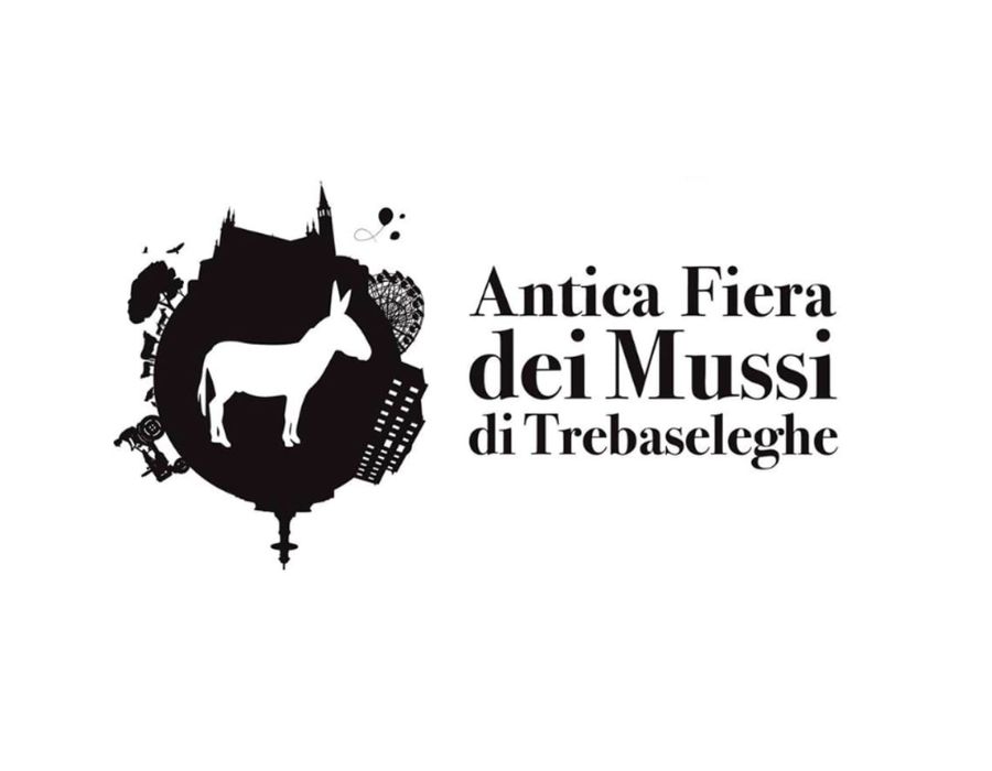 841ª Antica Fiera Dei Mussi Di Trebaseleghe