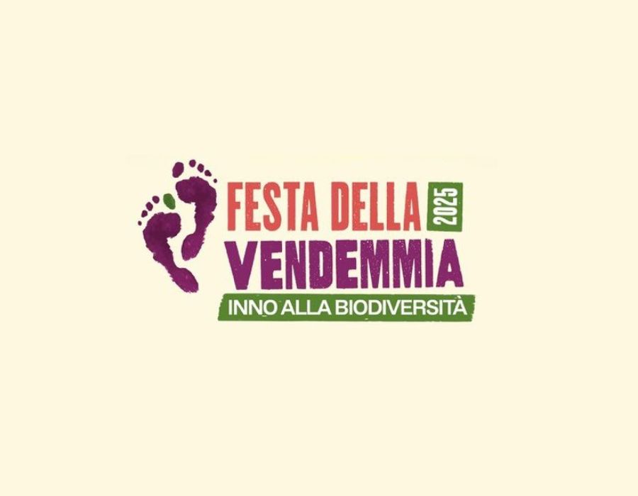 Festa della Vendemmia